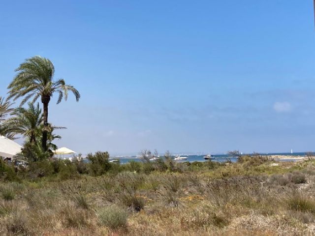 ANSE: Un restaurante fuera de ordenación daña los valores del Parque Regional de Salinas y Arenales San Pedro - 1, Foto 1