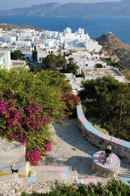 Celestyal cruises anuncia la flexibilización de sus protocolos frente al covid-19 - 2, Foto 2