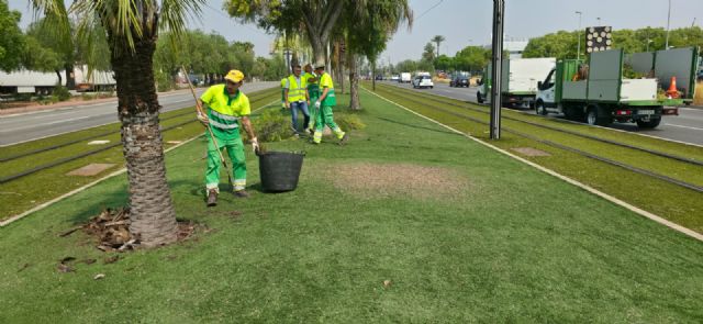 El Ayuntamiento moderniza el riego en la mediana de Juan de Borbón y refuerza el mantenimiento de este espacio verde - 2, Foto 2