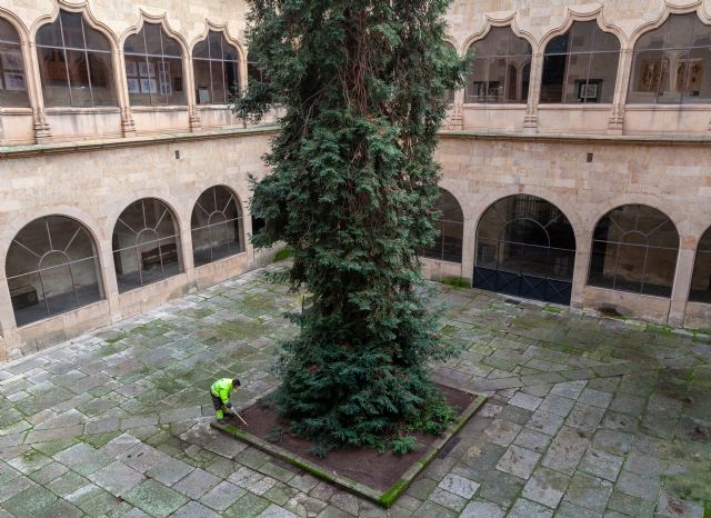 Las zonas verdes de la Universidad de Salamanca seguirán contando con un servicio integral y sostenible - 1, Foto 1