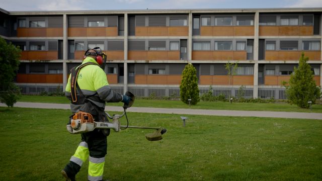 Las zonas verdes de la Universidad de Salamanca seguirán contando con un servicio integral y sostenible - 2, Foto 2