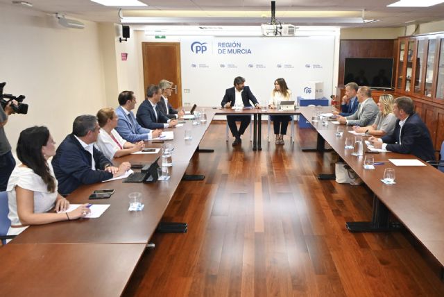 Segado: Mientras el PP de López Miras aumenta la seguridad en la Región, otros se dedican a generar división y discordia - 2, Foto 2