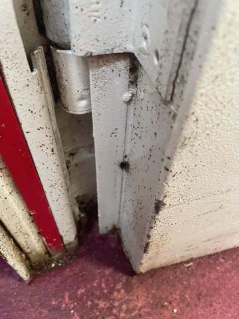 SAE denuncia el estado del centro Domus VI Sant Jordi - 1, Foto 1