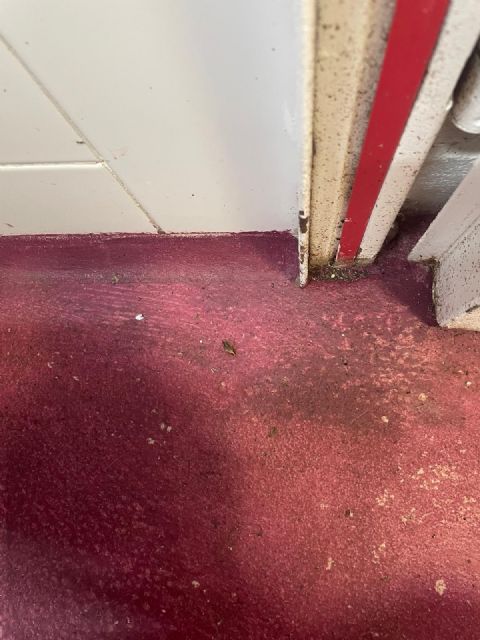 SAE denuncia el estado del centro Domus VI Sant Jordi - 3, Foto 3