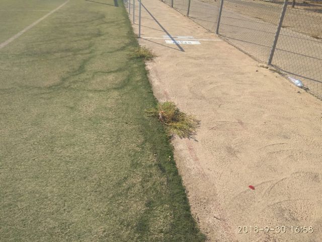Mateos exige el cambio del césped del estadio Juan Martínez 'Casuco' ya que su estado resulta peligroso para la salud de los niños - 1, Foto 1