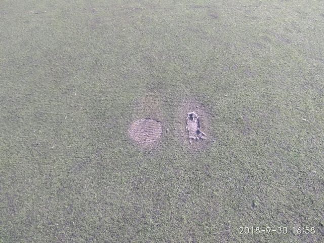 Mateos exige el cambio del césped del estadio Juan Martínez 'Casuco' ya que su estado resulta peligroso para la salud de los niños - 3, Foto 3