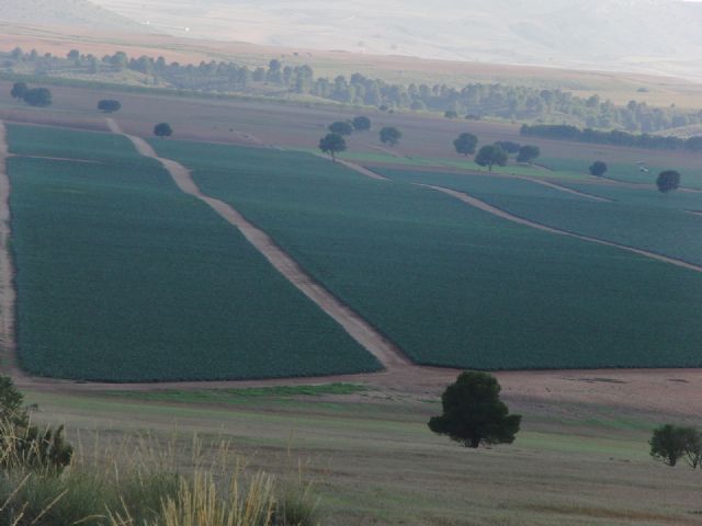 Los Regantes, en la Junta General de ARECA, respaldan todas las iniciativas de la Junta Directiva, como la denuncia presentada a la Fiscalía por la transformación  ilegal de más de 2000 Has secano a regadío - 4, Foto 4