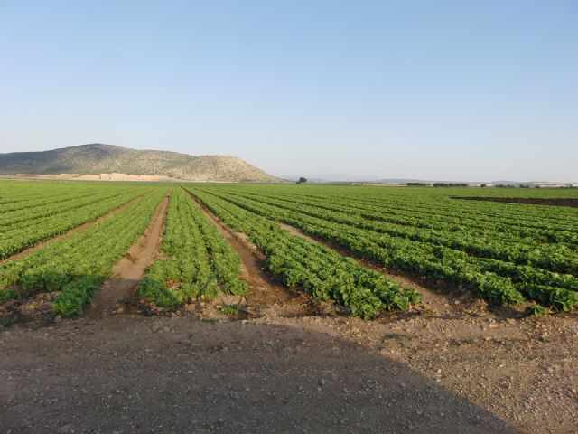 Los Regantes, en la Junta General de ARECA, respaldan todas las iniciativas de la Junta Directiva, como la denuncia presentada a la Fiscalía por la transformación  ilegal de más de 2000 Has secano a regadío - 5, Foto 5