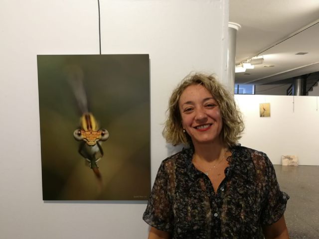 La sala de exposiciones del Centro Cultural de Lorca acoge la exposición 'Agua… Libélulas' del 1 al 15 de octubre - 1, Foto 1