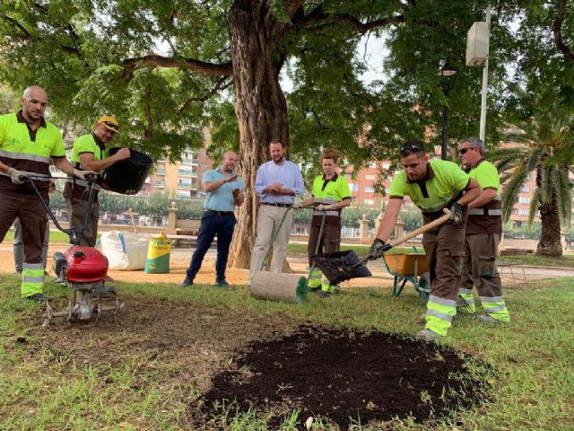 Más de 39 millones de semillas repoblarán las praderas de césped de Murcia y pedanías gracias al Plan Resiembra 2019-2020 - 1, Foto 1