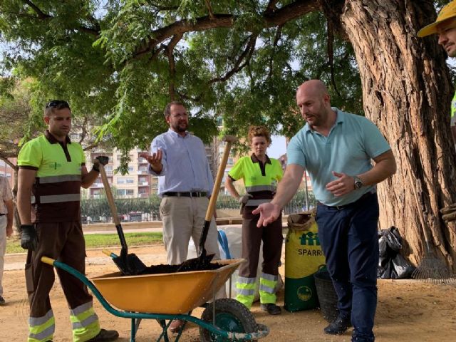 Más de 39 millones de semillas repoblarán las praderas de césped de Murcia y pedanías gracias al Plan Resiembra 2019-2020 - 2, Foto 2