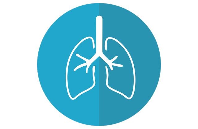 Los resultados preliminares del estudio EPISCAN II revelan que Cataluña, Extremadura y Galicia son las autonomías con mayor prevalencia de EPOC - 1, Foto 1