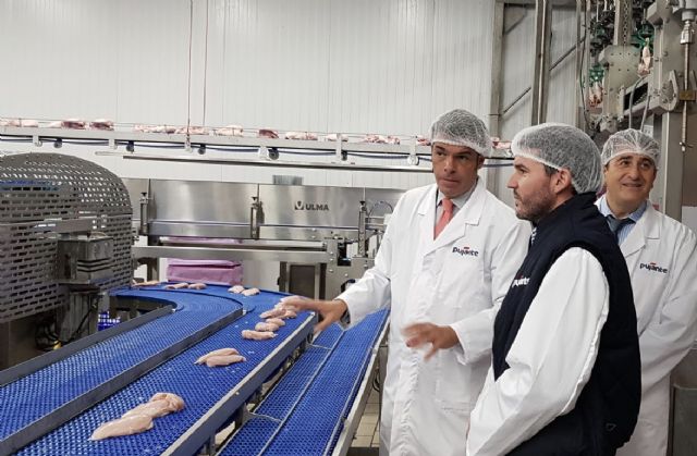 El sector del pollo espera cerrar 2019 con un crecimiento en la producción de carne por tercer año consecutivo - 1, Foto 1