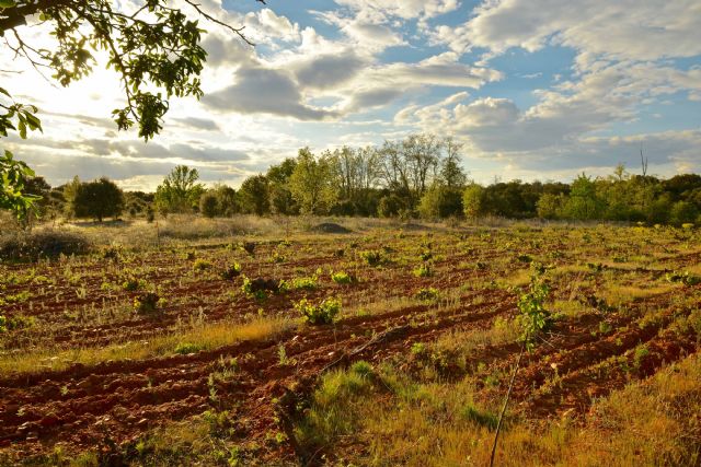 Fuentes del Silencio presenta su apuesta por el Valle del Jamuz - 1, Foto 1