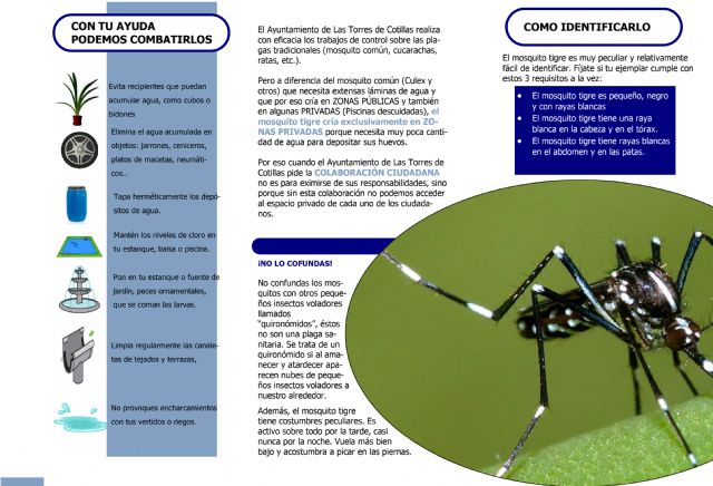 El Ayuntamiento torreño sigue adoptando medidas para controlar el mosquito Tigre - 2, Foto 2