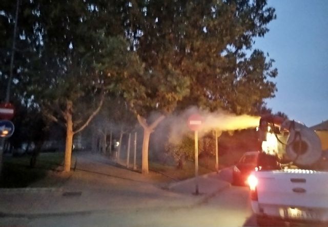 El Ayuntamiento torreño sigue adoptando medidas para controlar el mosquito Tigre - 3, Foto 3