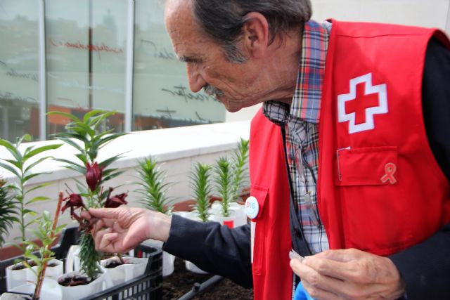 Cruz Roja resalta la importancia de visibilizar aportaciones de las personas mayores en el Día Internacional de las Personas de Edad - 1, Foto 1