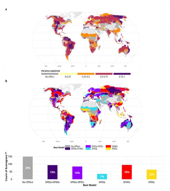 Una investigación de la UMU revela que el clima es el principal factor que explica la variabilidad de los incendios a nivel global - 1, Foto 1
