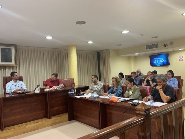 El Pleno toma conocimiento de la licitación del contrato de obras de la Fase II del Proyecto de Consolidación y Restauración del Embarcadero del Hornillo - 1, Foto 1