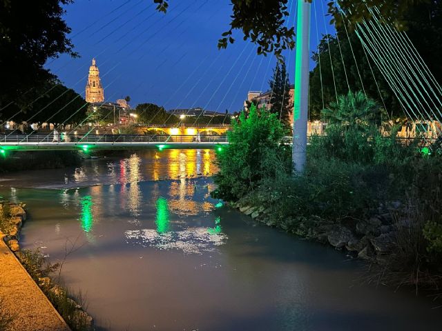 Murcia se ilumina de verde para conmemorar el Día Nacional de la Artritis - 1, Foto 1