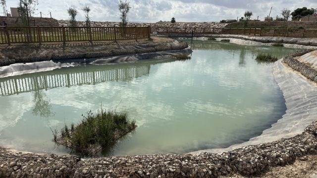 La renaturalización de 1,4 kilómetros de la Rambla Sur de Torre-Pacheco reduce el riesgo de inundaciones para más de 8.600 habitantes - 5, Foto 5