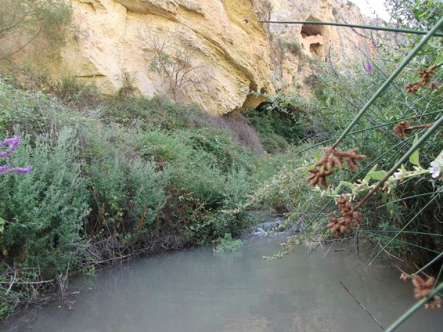 El Consejo para Defensa del Noroeste organiza una ruta a pie por pedanías del Campo de Caravaca - 4, Foto 4