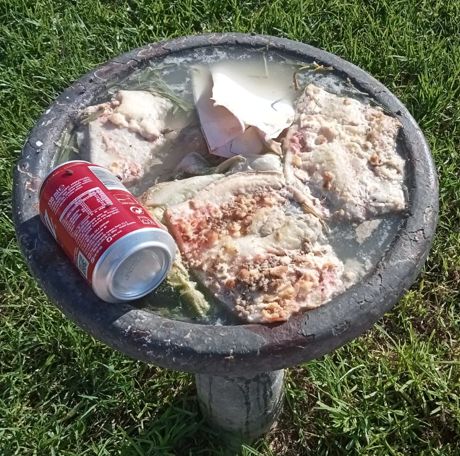 El Paco Rabal, otro de los parques de Las Torres de Cotillas abandonados - 1, Foto 1