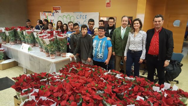 Plantas de Navidad en la Consejería de Agua , Agricultura y Medio Ambiente - 1, Foto 1