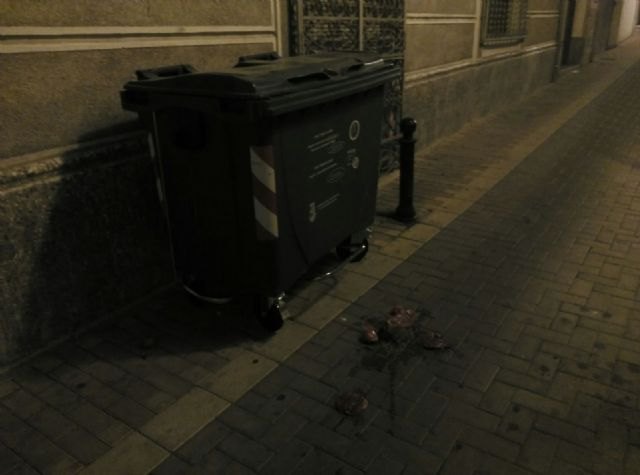 PP: La incompetencia del concejal ha llevado incluso a provocar situaciones perjudiciales para el comercio local - 1, Foto 1