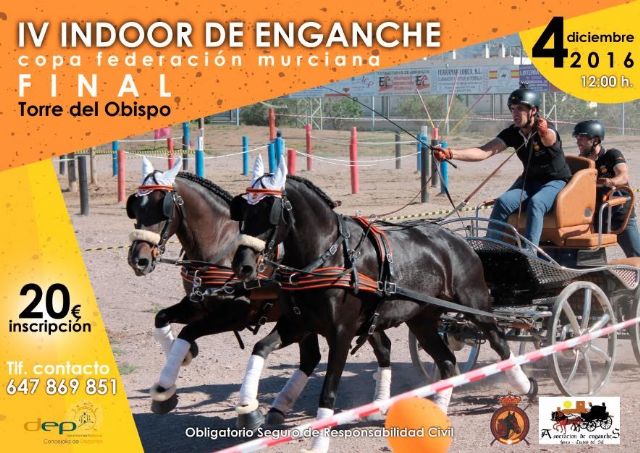 Las instalaciones de la Asociación de Enganches de Lorca en Torre del Obispo acogerán el próximo domingo el IV Indoor de Enganche - 1, Foto 1