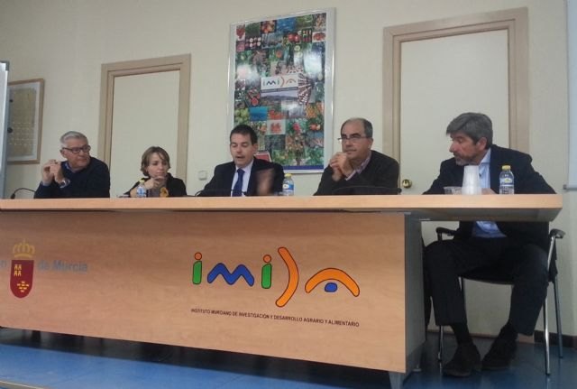 El Imida celebra una Jornada de transferencia sobre la mejora de la citricultura murciana - 1, Foto 1
