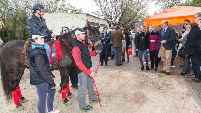 Pedro Antonio Sánchez: El Consejo de Gobierno aprobará este mes la Ley de Accesibilidad Universal, un paso más para la igualdad - 1, Foto 1
