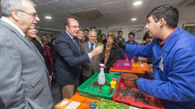 Pedro Antonio Sánchez: El Consejo de Gobierno aprobará este mes la Ley de Accesibilidad Universal, un paso más para la igualdad - 3, Foto 3
