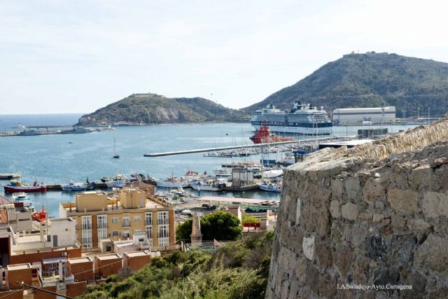 El Cerro de los Moros se reforestara con un millar de ejemplares de variedades autoctonas - 1, Foto 1