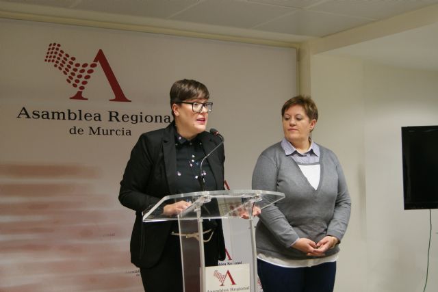 El PSOE afirma que la existencia de una Consejería no garantiza que se cumpla la Ley de Transparencia - 1, Foto 1