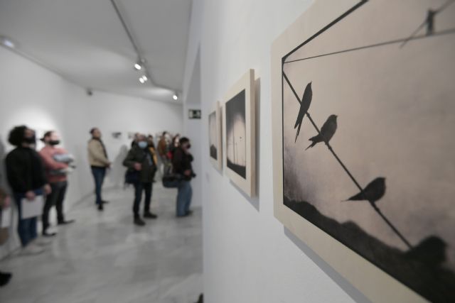 La UMU expone las obras premiadas y seleccionadas del XIX Premio de Fotografía - 2, Foto 2