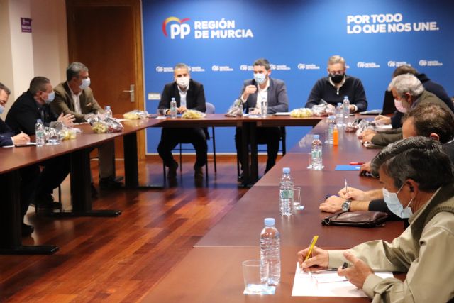 El PP analiza con las organizaciones agrarias de la Región los PGE que menosprecian al sector primario y dejan atrás al campo murciano - 2, Foto 2