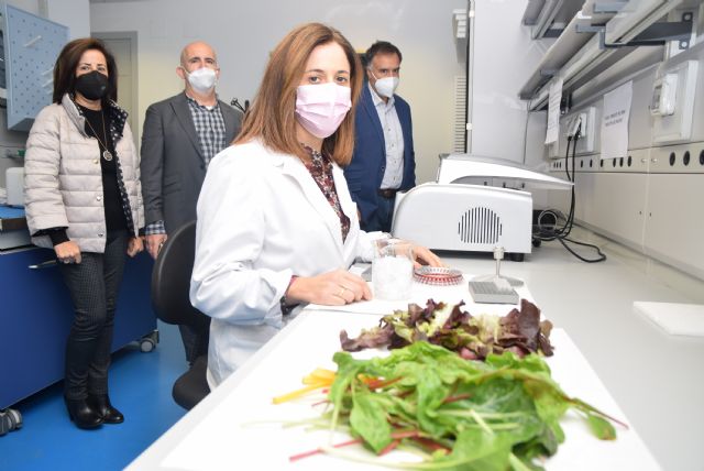 El uso de compost procedentes de residuos orgánicos protege y aumenta la calidad nutricional de lechugas y espinacas baby leaf - 1, Foto 1