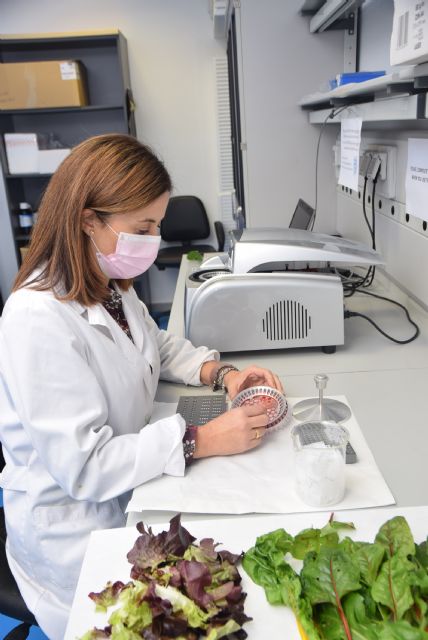 El uso de compost procedentes de residuos orgánicos protege y aumenta la calidad nutricional de lechugas y espinacas baby leaf - 2, Foto 2