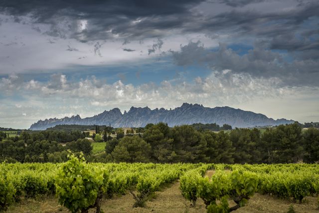 Juvé & Camps, 100 años de pasión para consolidar una marca líder - 2, Foto 2