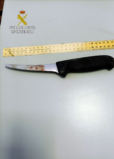 La Guardia Civil detiene en Alquerías a un joven por tentativa de homicidio y varios robos en viviendas y vehículos - 1, Foto 1