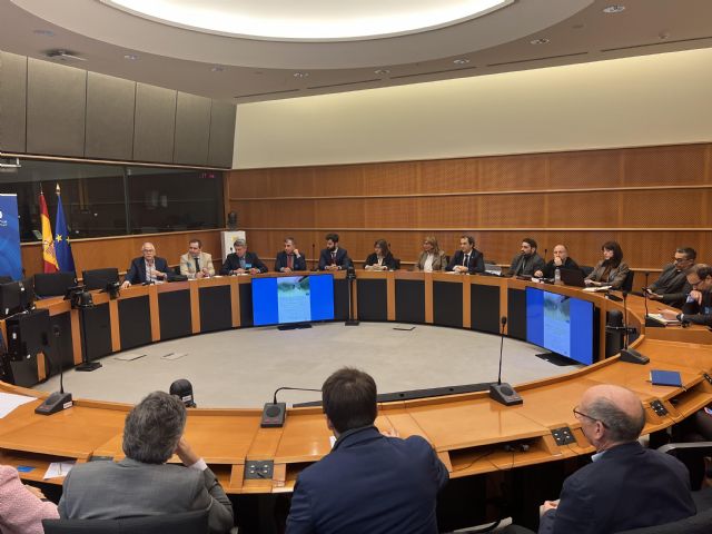 ALAS presenta su Alianza por la Agricultura Sostenible y el Manifiesto por la Agrociencia en el Parlamento Europeo - 5, Foto 5