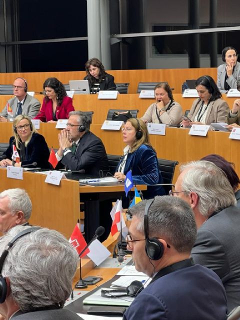 La Asamblea Regional de Murcia presidirá el Grupo de Trabajo de ‘Desarrollo Sostenible y Agua’ de la CALRE - 1, Foto 1