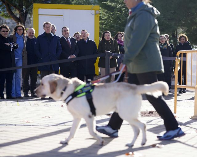 Núñez Feijóo conoce la excelencia de los perros guía de la ONCE - 2, Foto 2