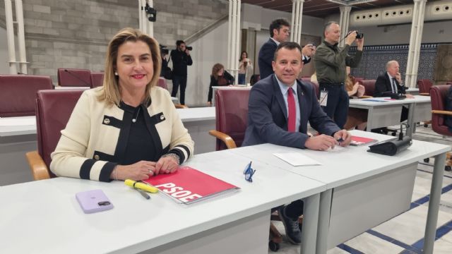 Fernando Moreno: Los presupuestos de Agua, Agricultura, Ganadería y Pesca son una vergüenza y un ataque al sector primario - 1, Foto 1