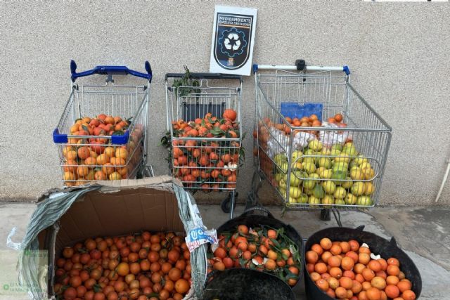 Policía Local de Cartagena detecta prendas falsificadas e incauto 200 kilos de cítricos en el mercadillo de Ribera de San Javier - 1, Foto 1