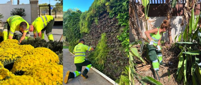 Benidorm avanza hacia una ciudad más verde y sostenible con el nuevo servicio de mantenimiento de zonas verdes - 2, Foto 2