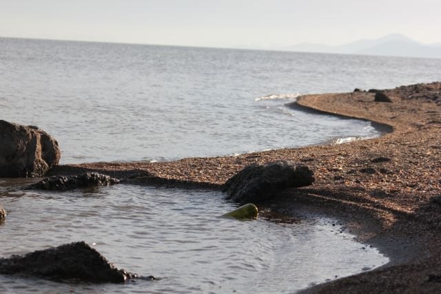 El canal de Ciencia Política de la UM muestra imágenes inéditas sobre la catástrofe del Mar Menor - 3, Foto 3