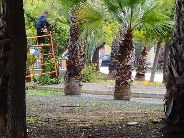 UxA denuncia al ayuntamiento en la inspección de trabajo por incumplir la ley de prevención de riesgos laborales - 1, Foto 1