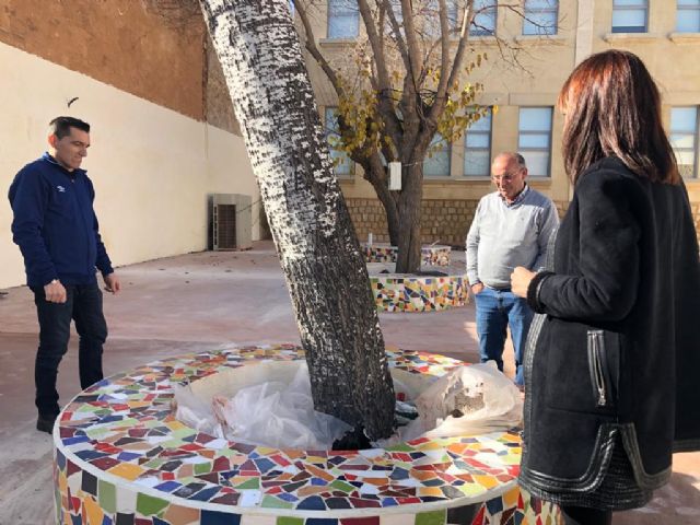 Mejoras en el patio de la escuela D. Antonio García de Bullas - 3, Foto 3